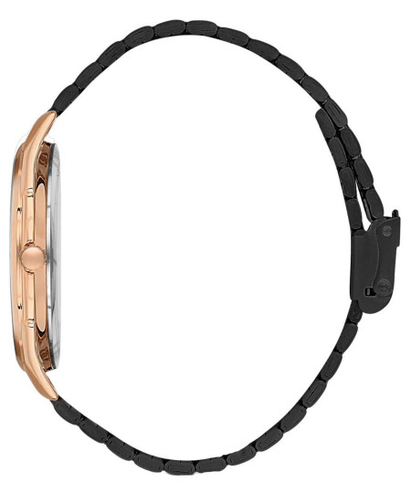 ساعت مچی مردانه دیوید گانر, کد DG-8083GA-R2