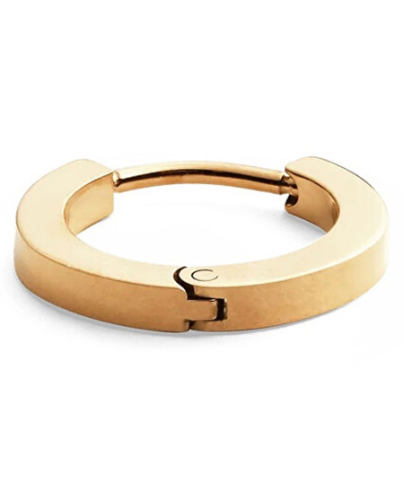 گوشواره استیل زنانه دنیل ولینگتون, کد DW00400872