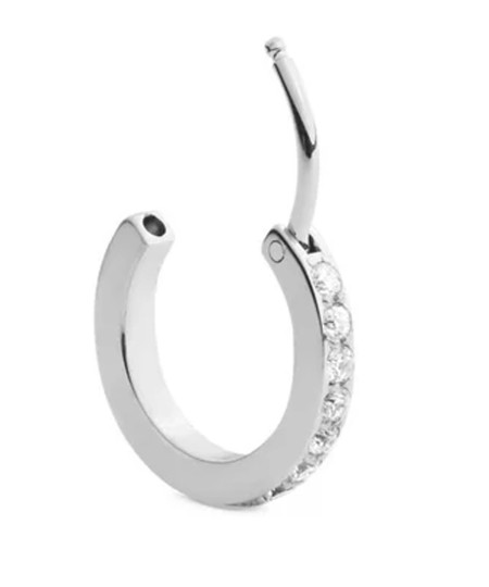 گوشواره استیل زنانه دنیل ولینگتون, کد DW00400881