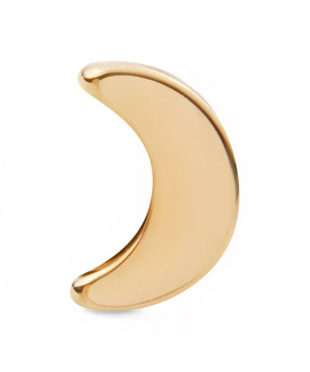 گوشواره استیل زنانه دنیل ولینگتون, کد DW00400866