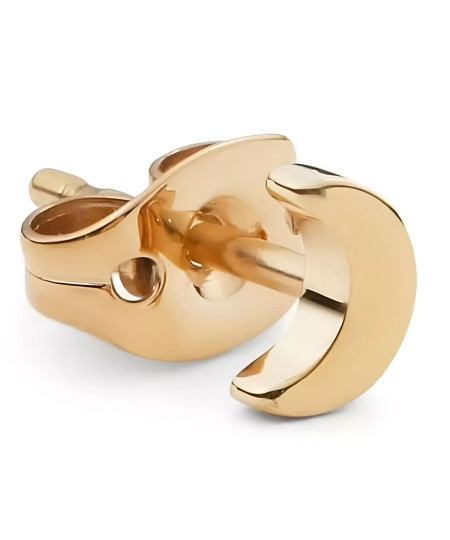 گوشواره استیل زنانه دنیل ولینگتون, کد DW00400866